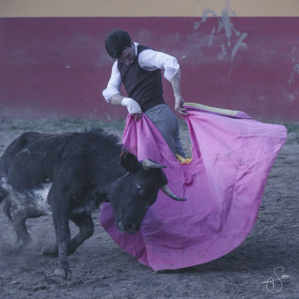 Imagen 5