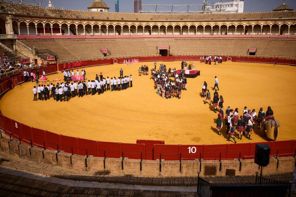 Imagen 9
