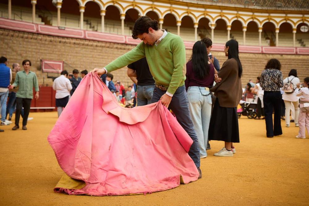 Imagen 11