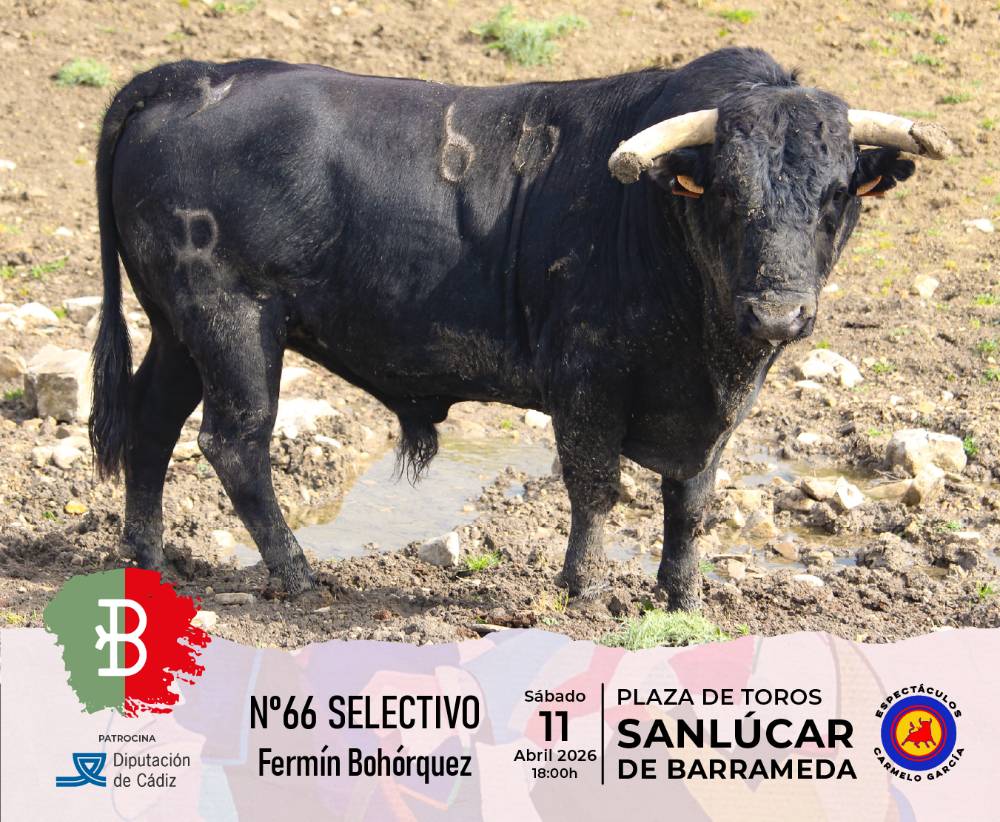 Imagen 7