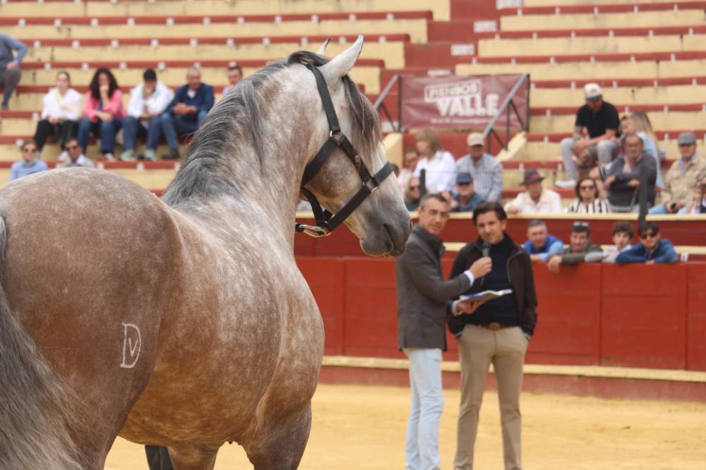 Imagen 20