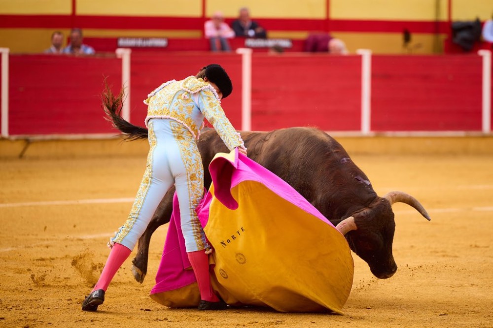 Imagen 3