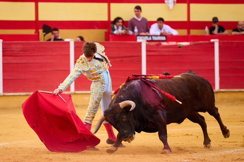 Imagen 4