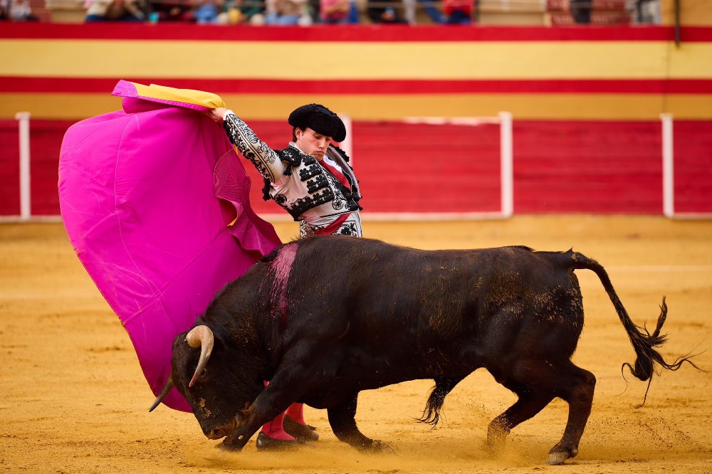 Imagen 7