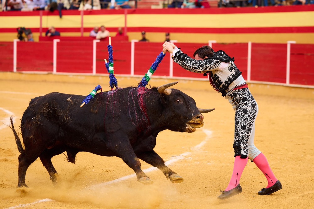 Imagen 8