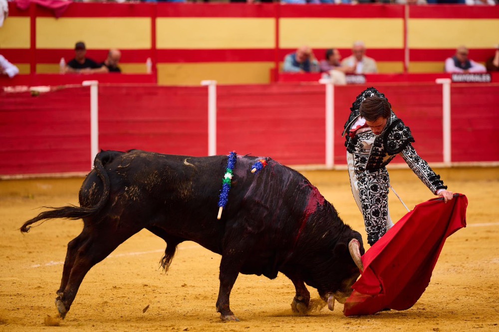 Imagen 9