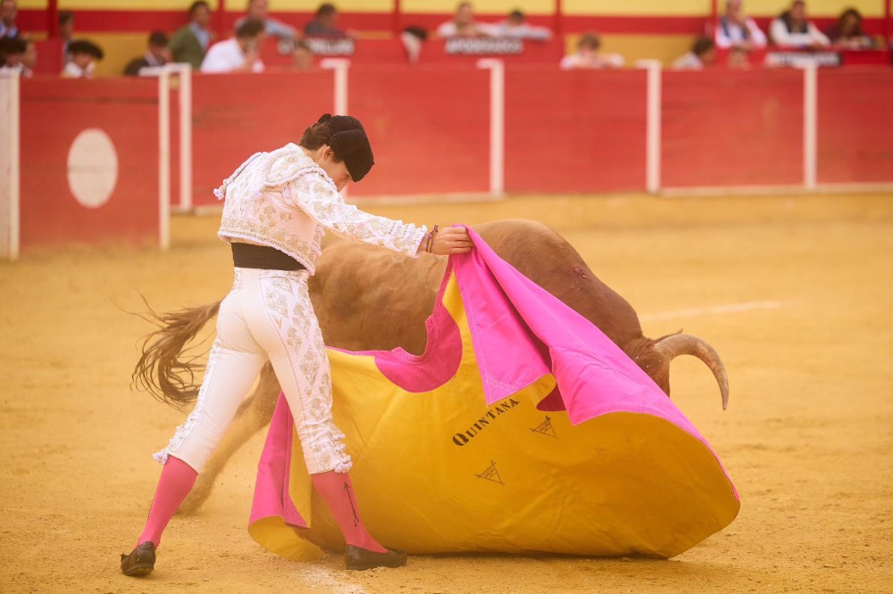 Imagen 11