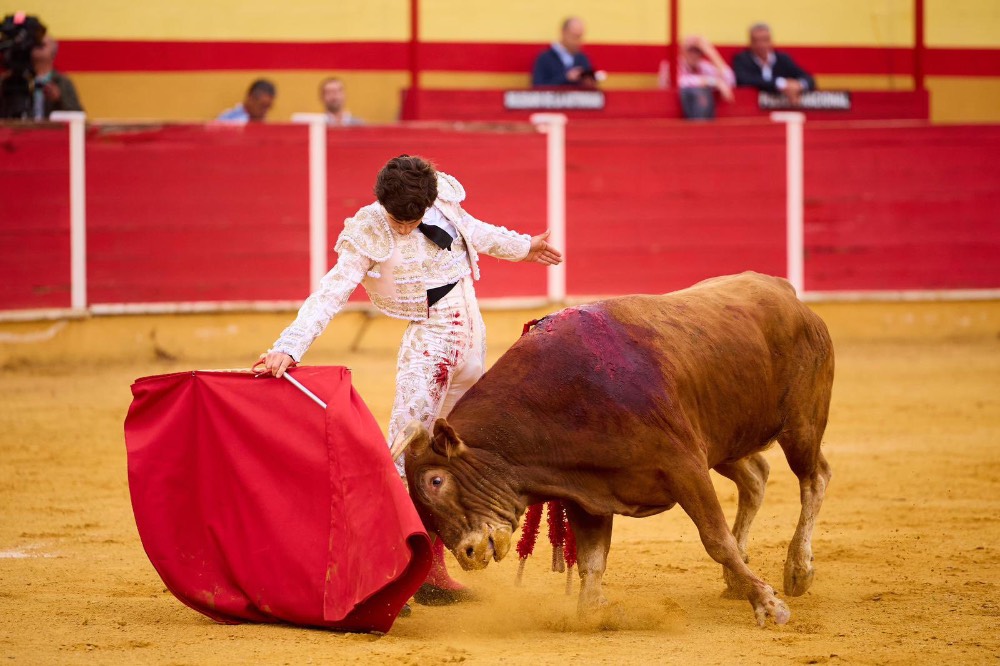 Imagen 12