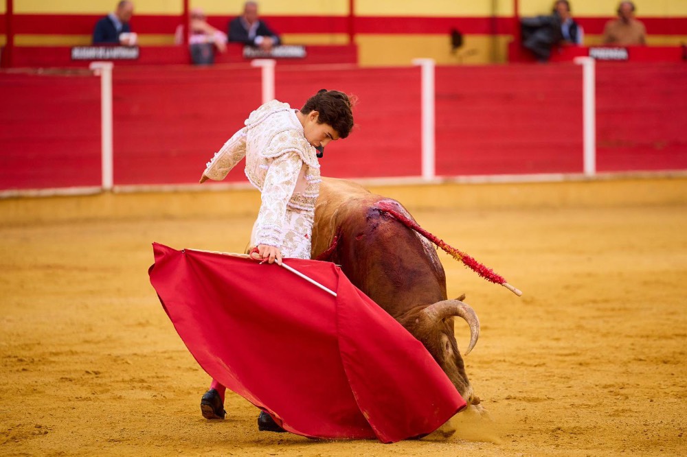 Imagen 13