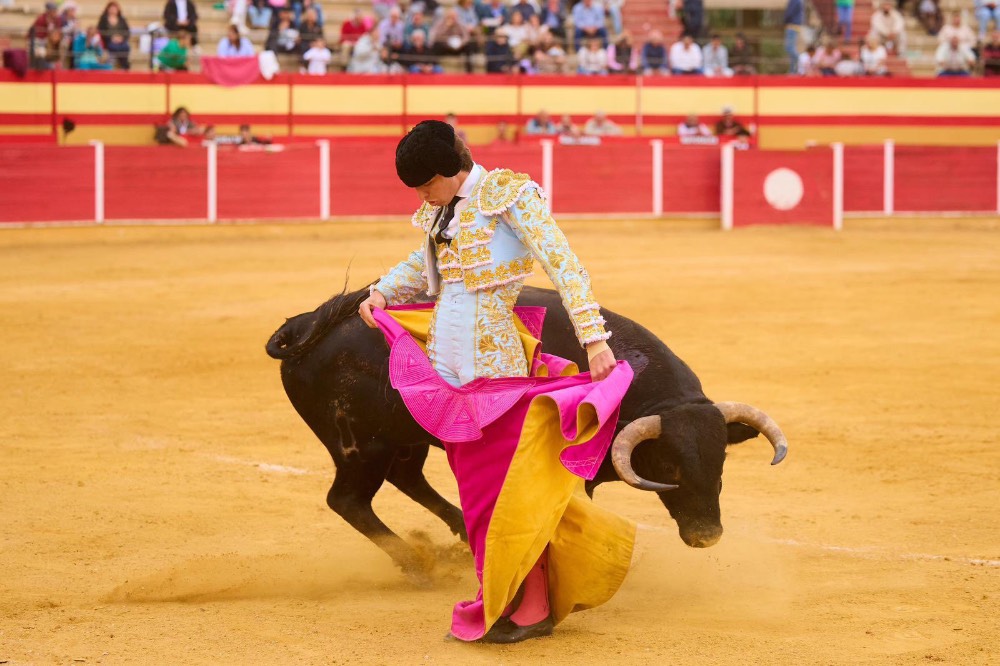 Imagen 15