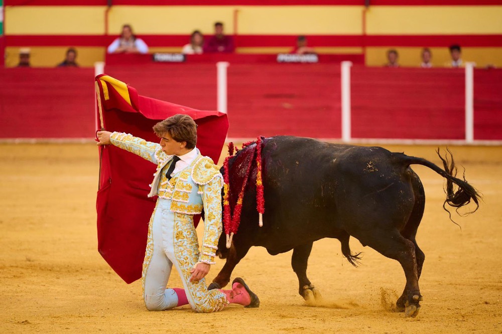 Imagen 16