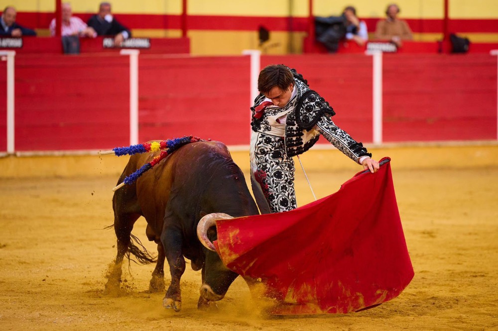 Imagen 18