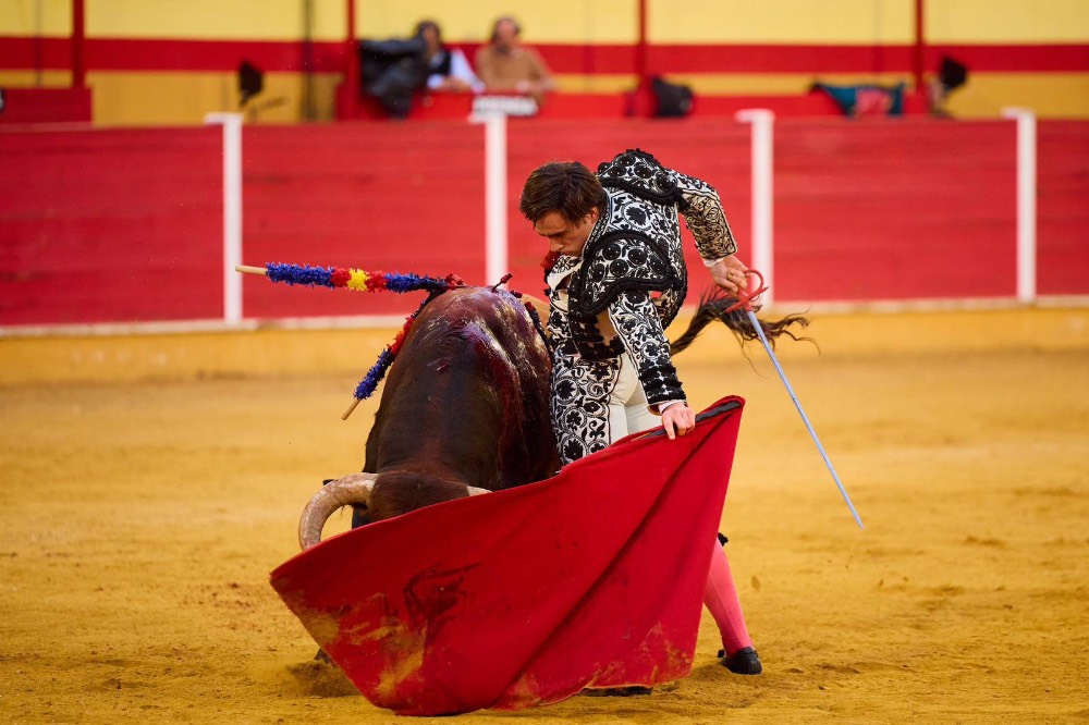 Imagen 19