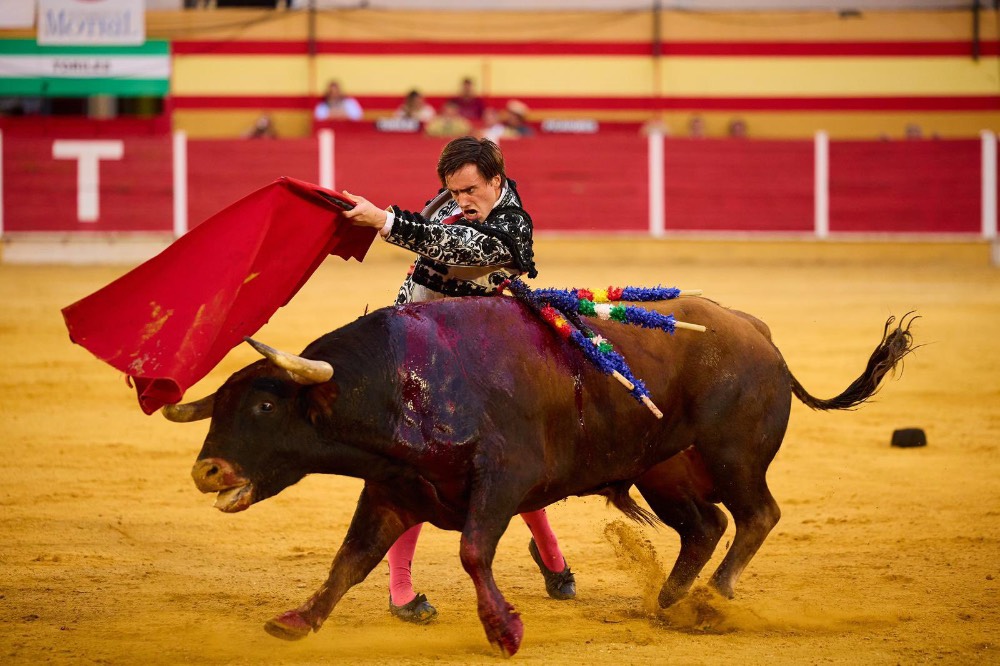 Imagen 21
