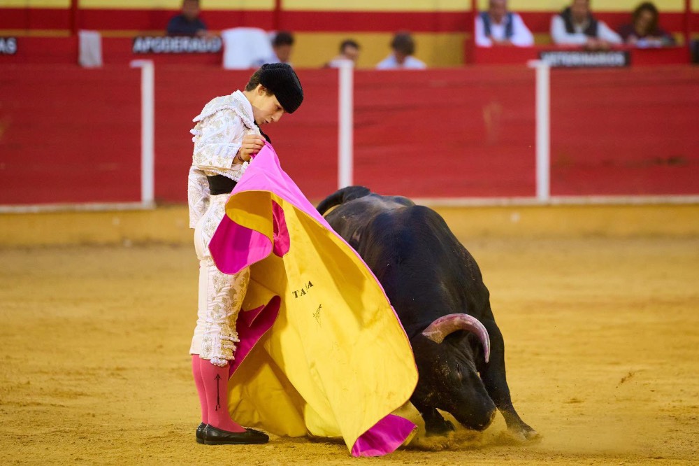 Imagen 23