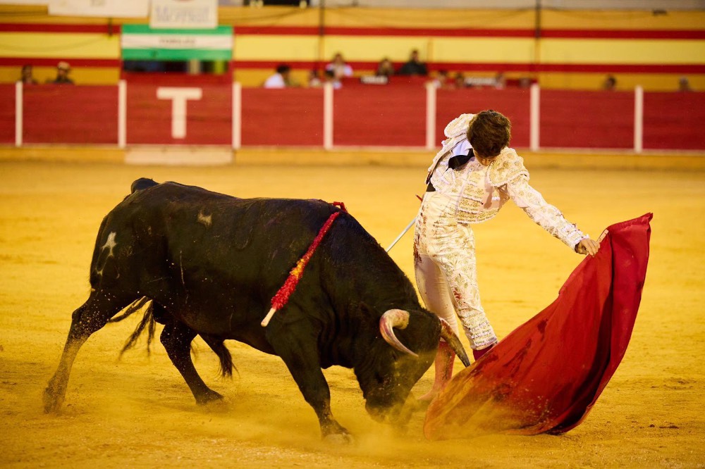 Imagen 24