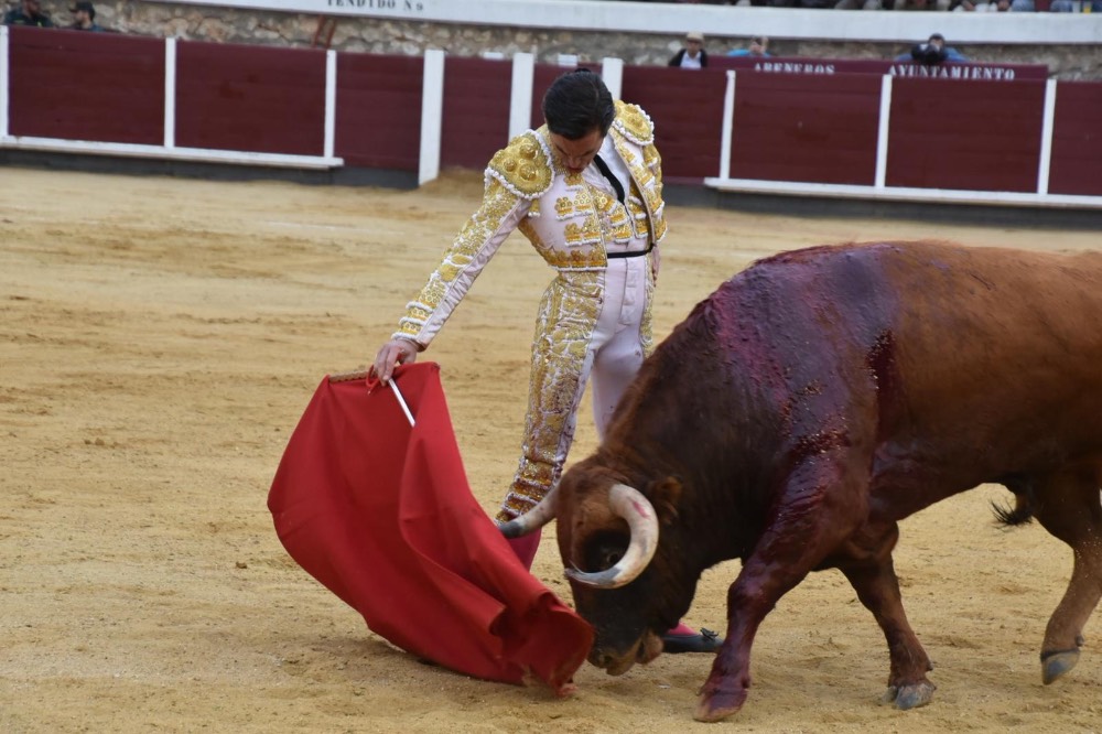 Imagen 1