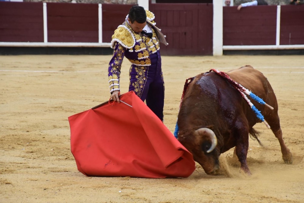 Imagen 2