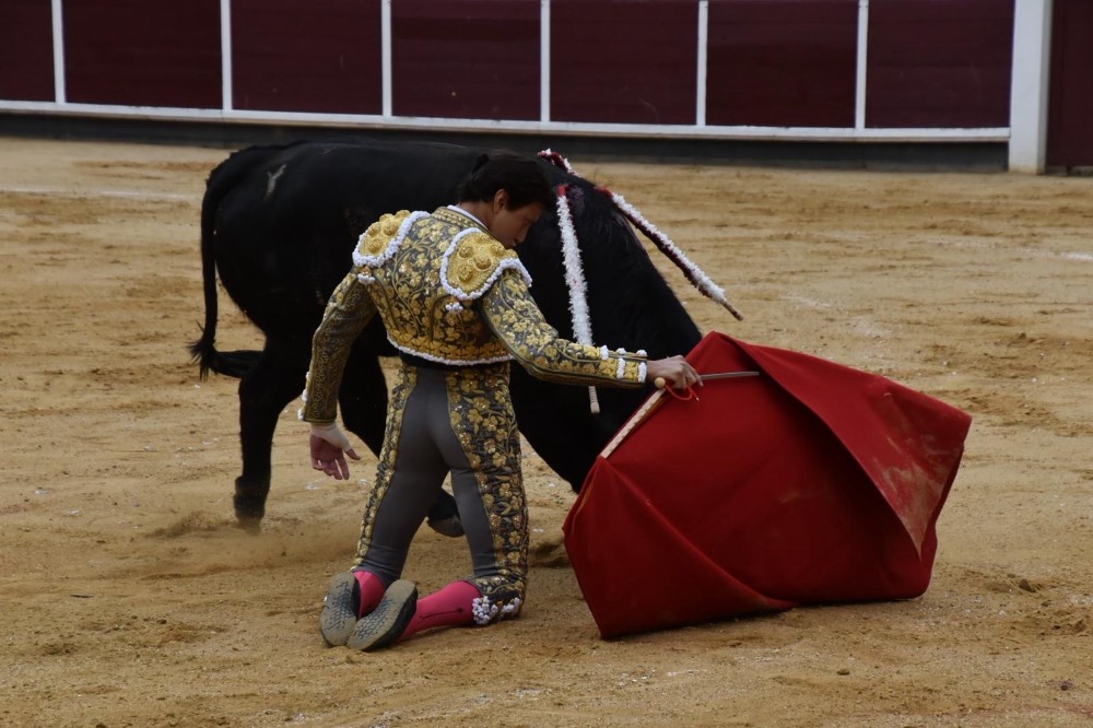 Imagen 3