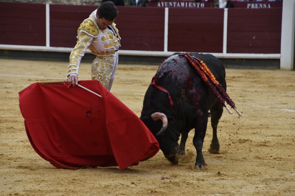 Imagen 4
