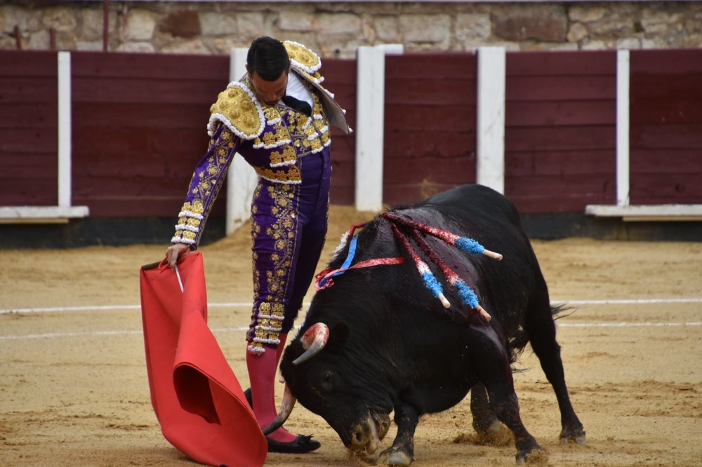 Imagen 5