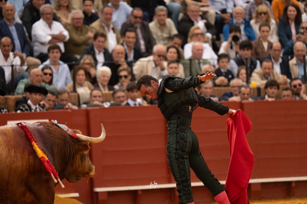 Imagen 6