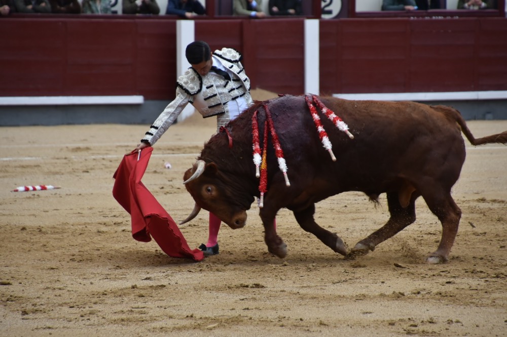 Imagen 1