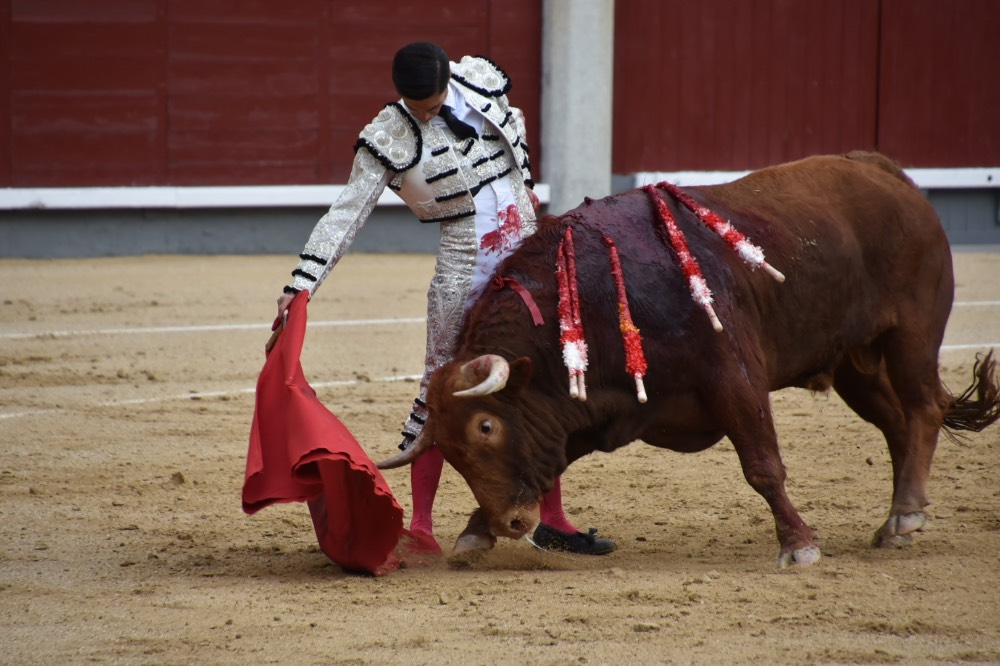 Imagen 2
