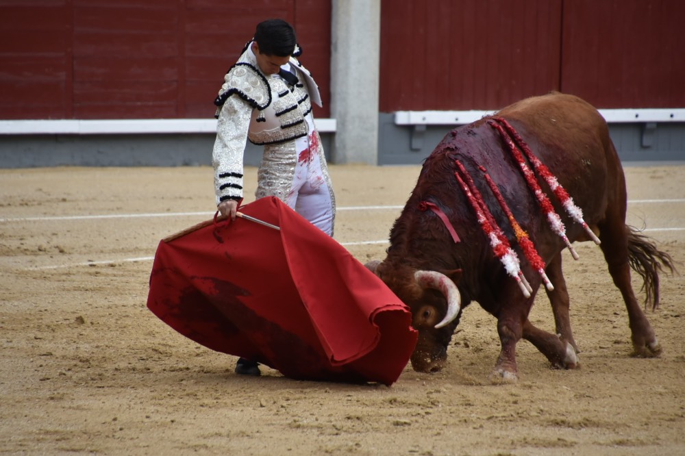 Imagen 3