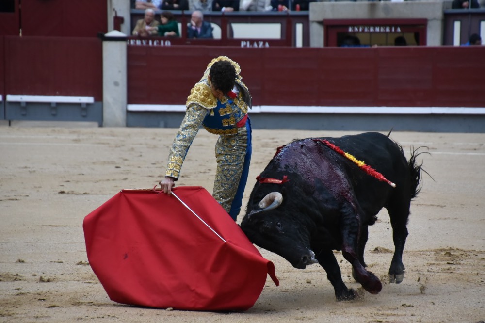 Imagen 4