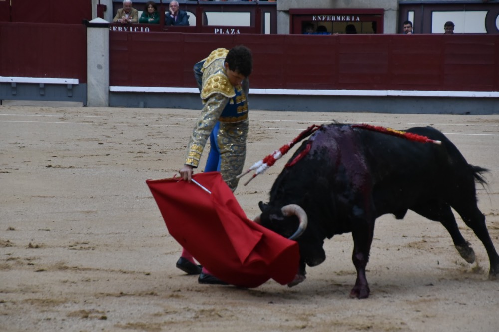 Imagen 5