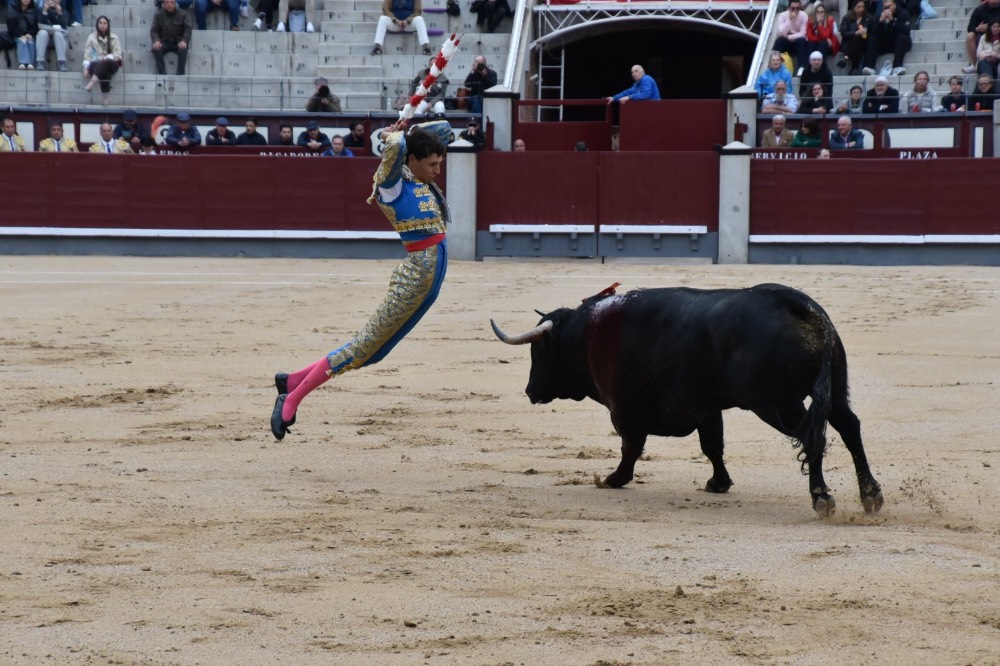 Imagen 6