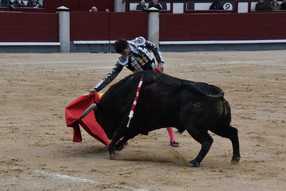 Imagen 7