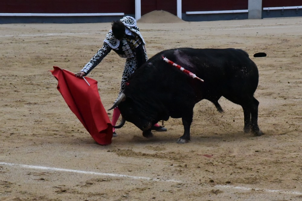 Imagen 8