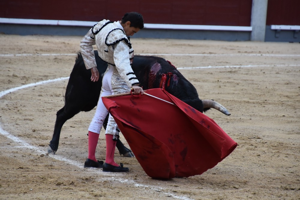Imagen 9