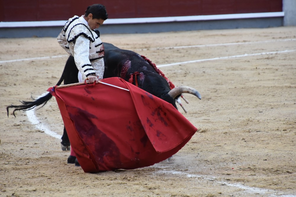 Imagen 10