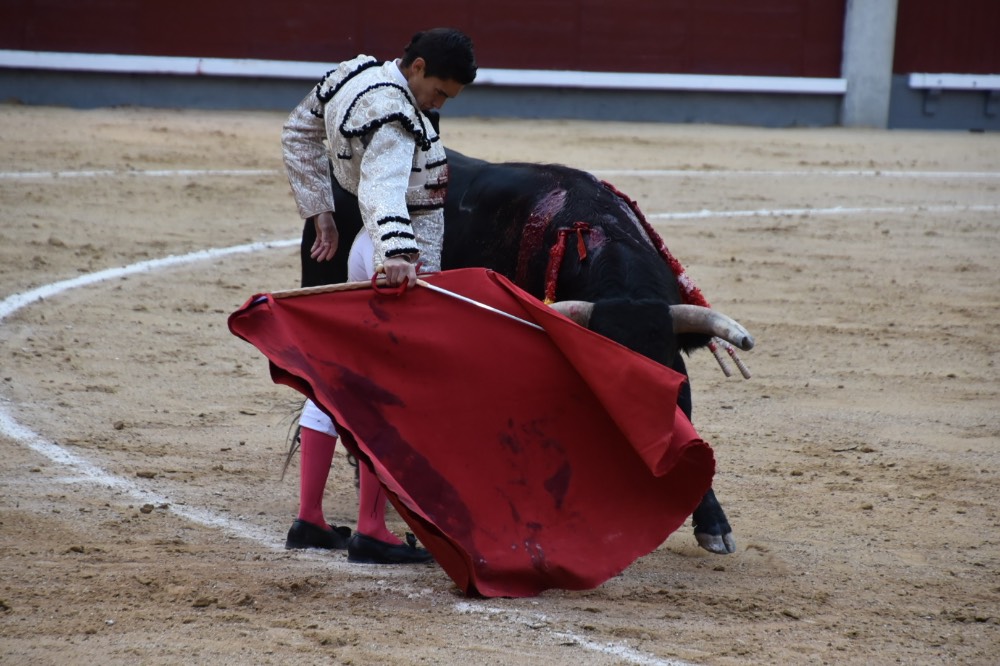 Imagen 11