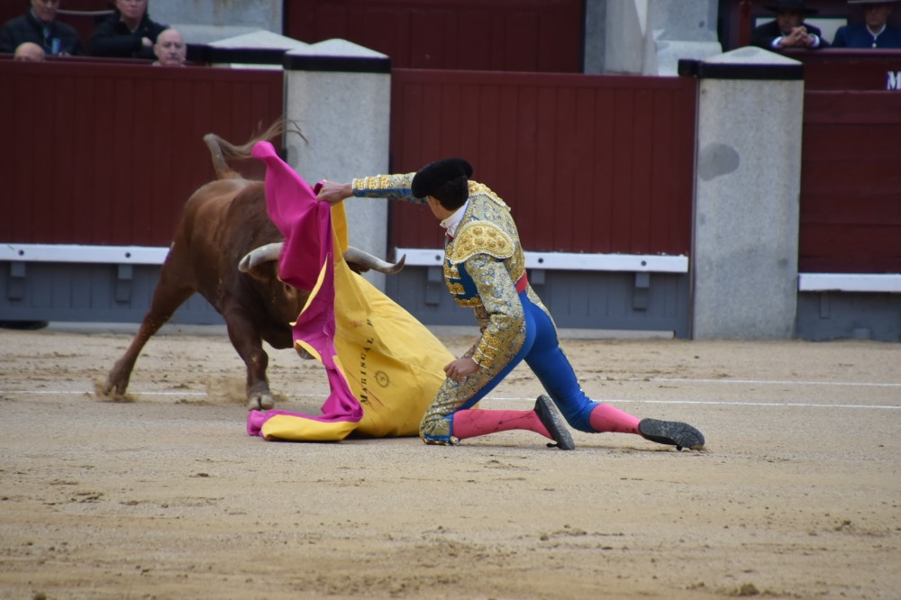 Imagen 12