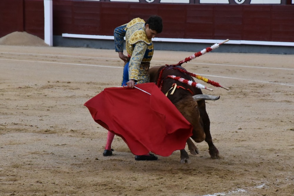 Imagen 13