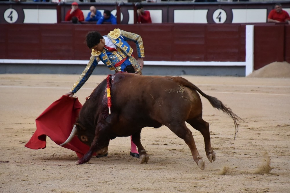 Imagen 14