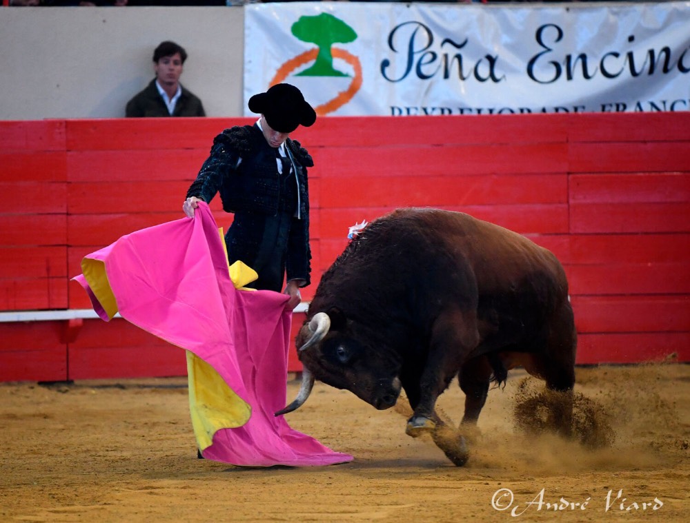 Imagen 1