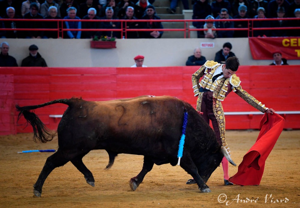Imagen 2