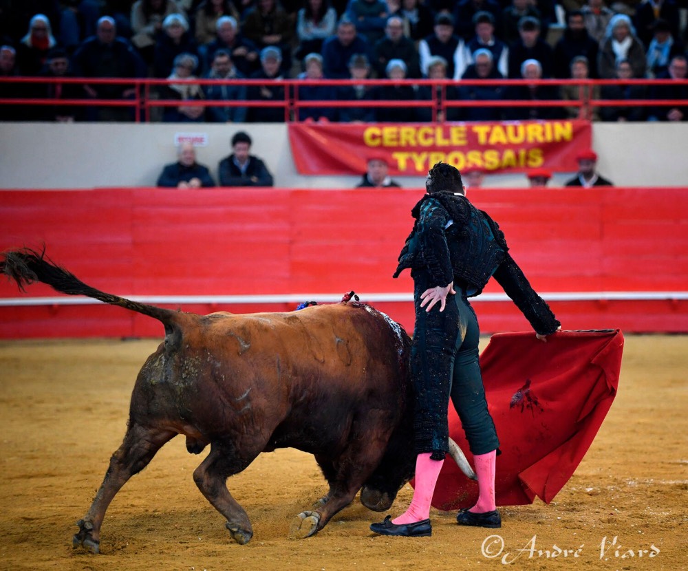 Imagen 3