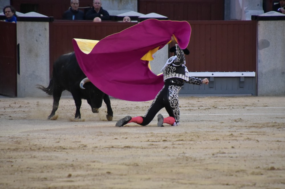 Imagen 15