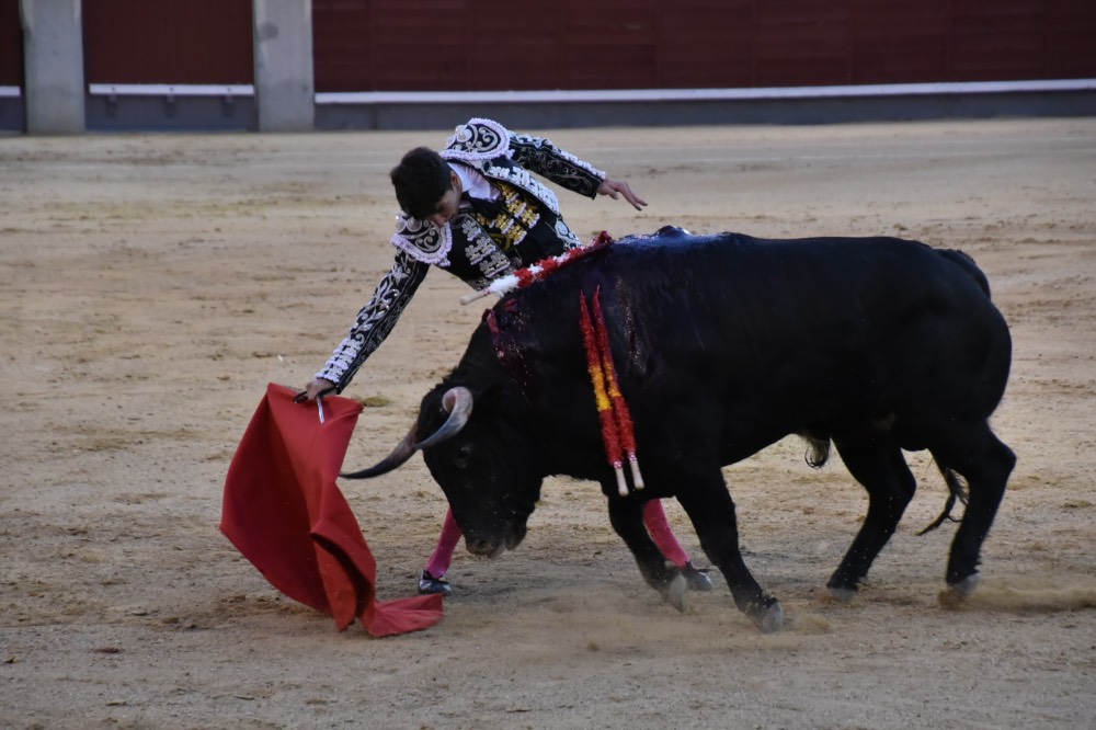 Imagen 16