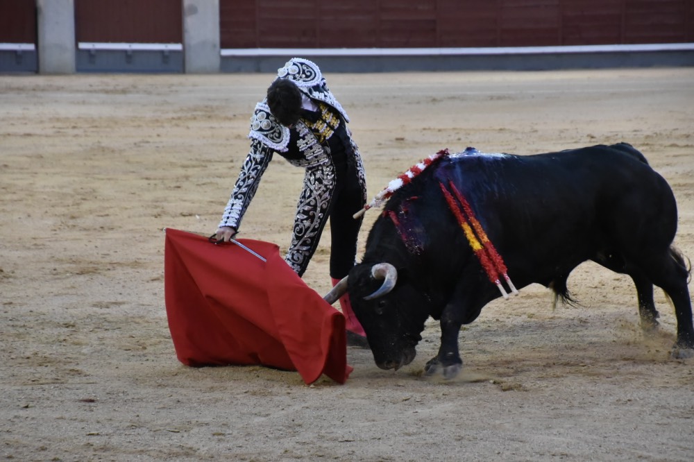 Imagen 17
