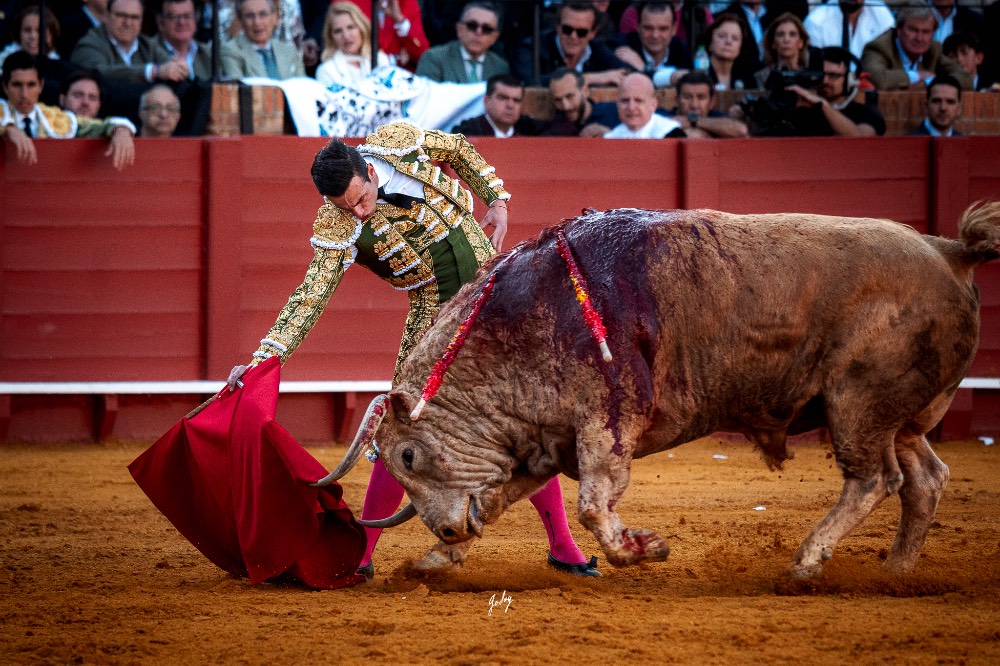 Imagen 5