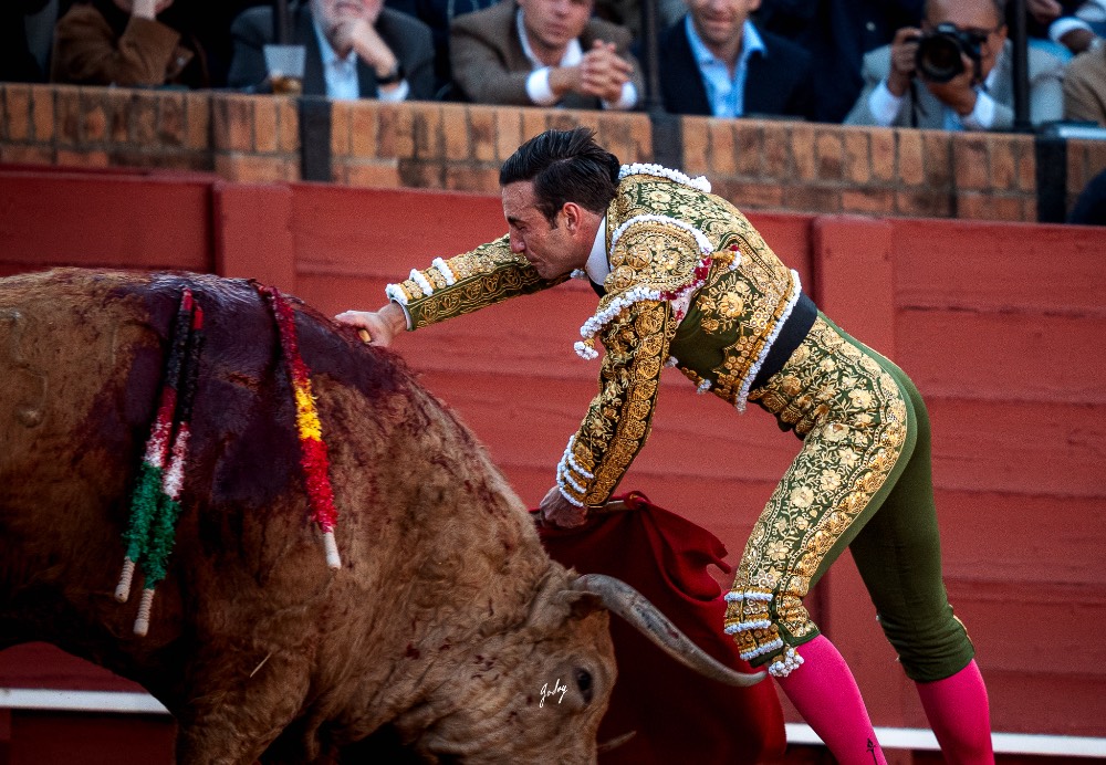 Imagen 6