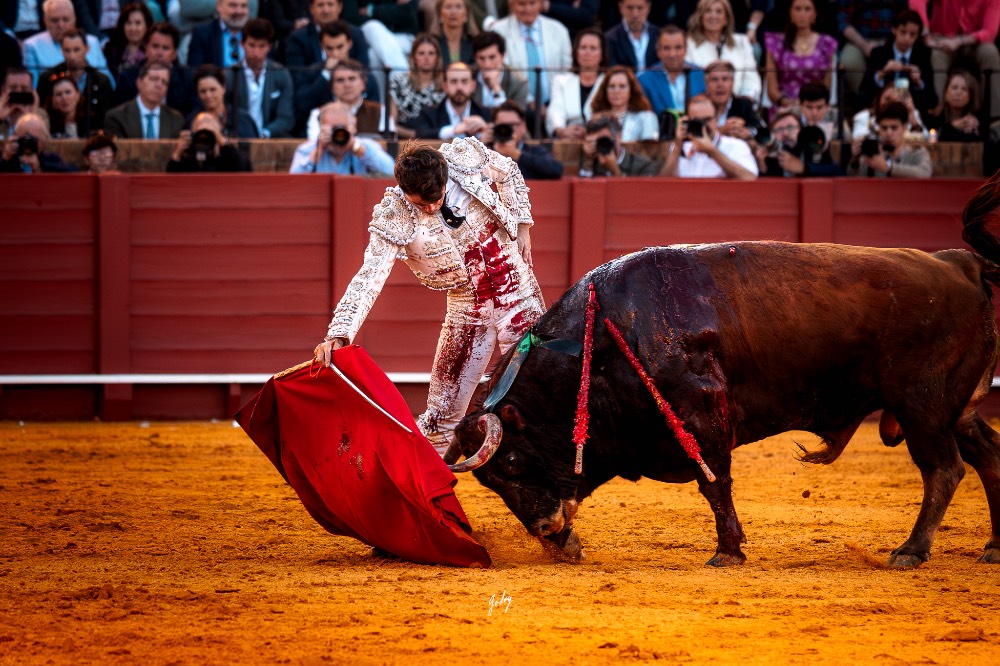 Imagen 7
