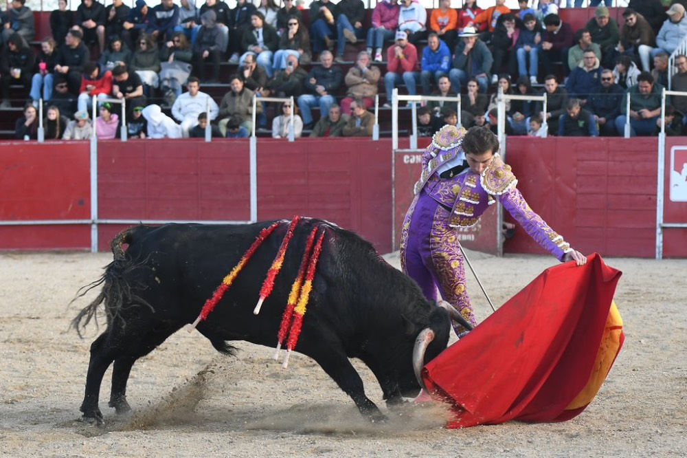 Imagen 1